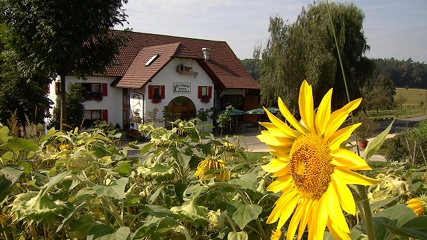 Hof-Neuhaus
