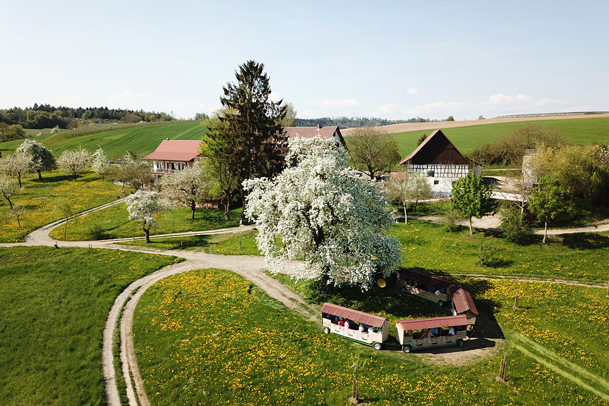 Hof Neuhaus Apfelzügle®